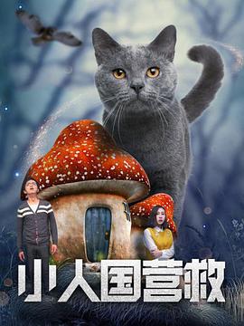 国产网红福利视频一区二区