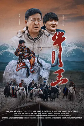 韩国女主播一区