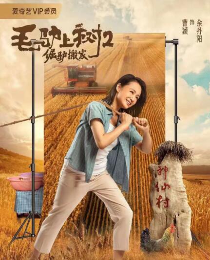 成人欧美一区二区三区视频不卡