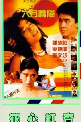 国产精品短视频免费观看