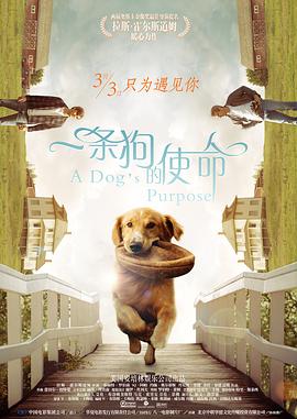 手鞠泳装比基尼