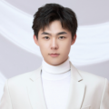 代言人领事馆