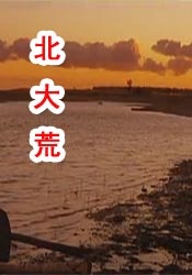 国产一区二区在线观看免费