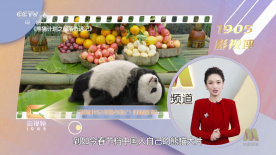 9色视频在线观看